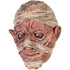 Travestimento Halloween Maschera Mummia